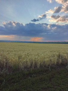 1otptykiltheqeb1utxzuwc_rdddqknaszgds9nphqq8olufltspqwai4wvj3dxiz4myoy1gttvnjsjeg8gw-evm